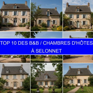 Top 1 des B&B / Chambres d'hôtes à Selonnet